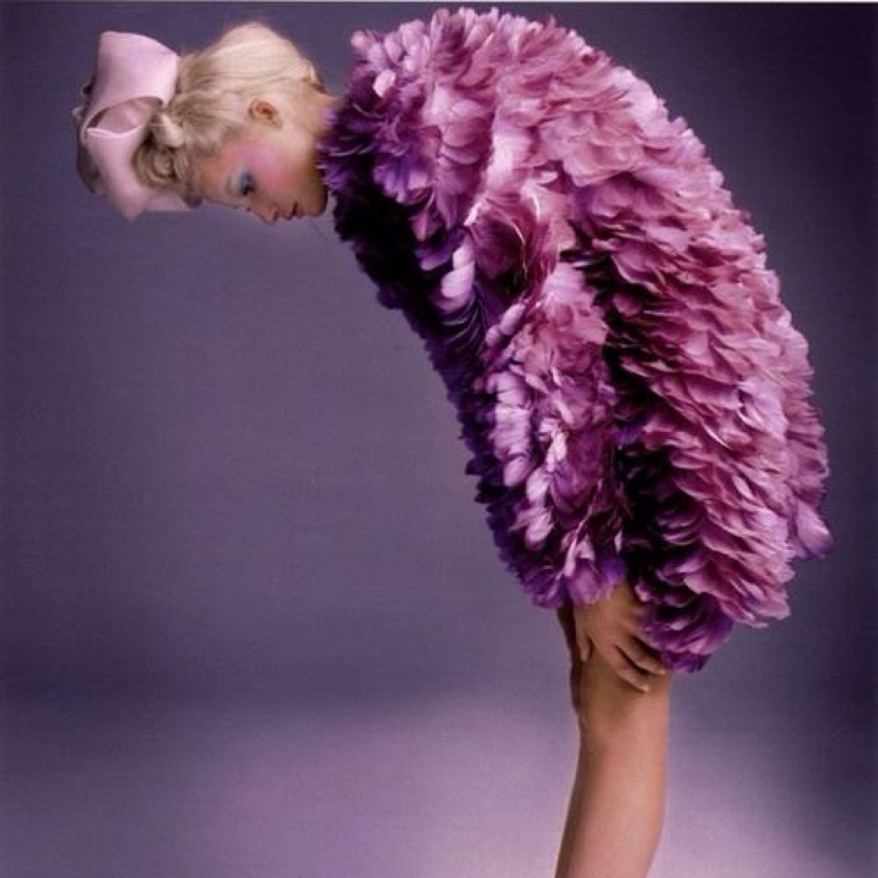 SilviaViterbo's profile picture. 