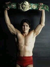 Retired WWE Superstar 2x Intercontinental Champion, 2x Tag Team Champion