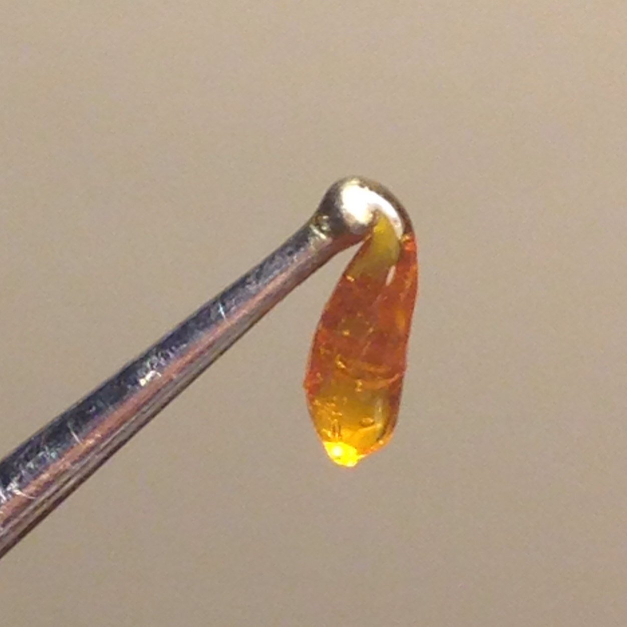 Daily news, reviews, and pics of BHO, Wax, Shatter, CO2, Oils, Hash, solventfree, extractions