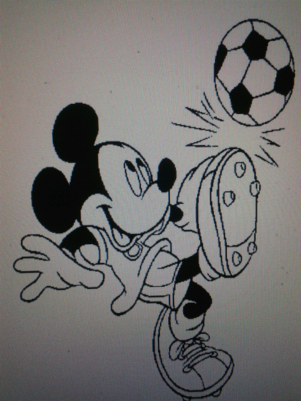 FCVoetbal__ Profile Picture