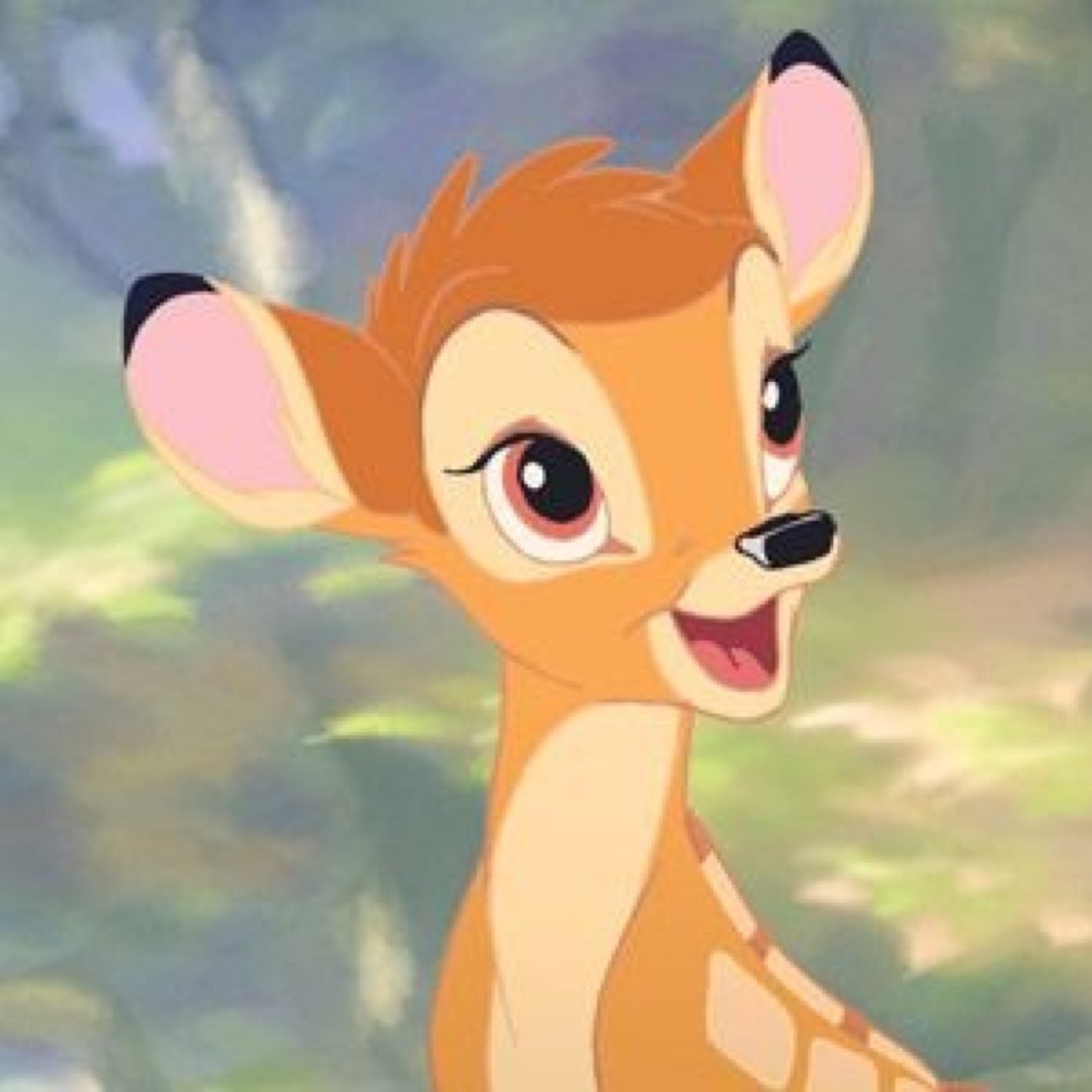 ansidaflglh's profile picture. freefollow :)