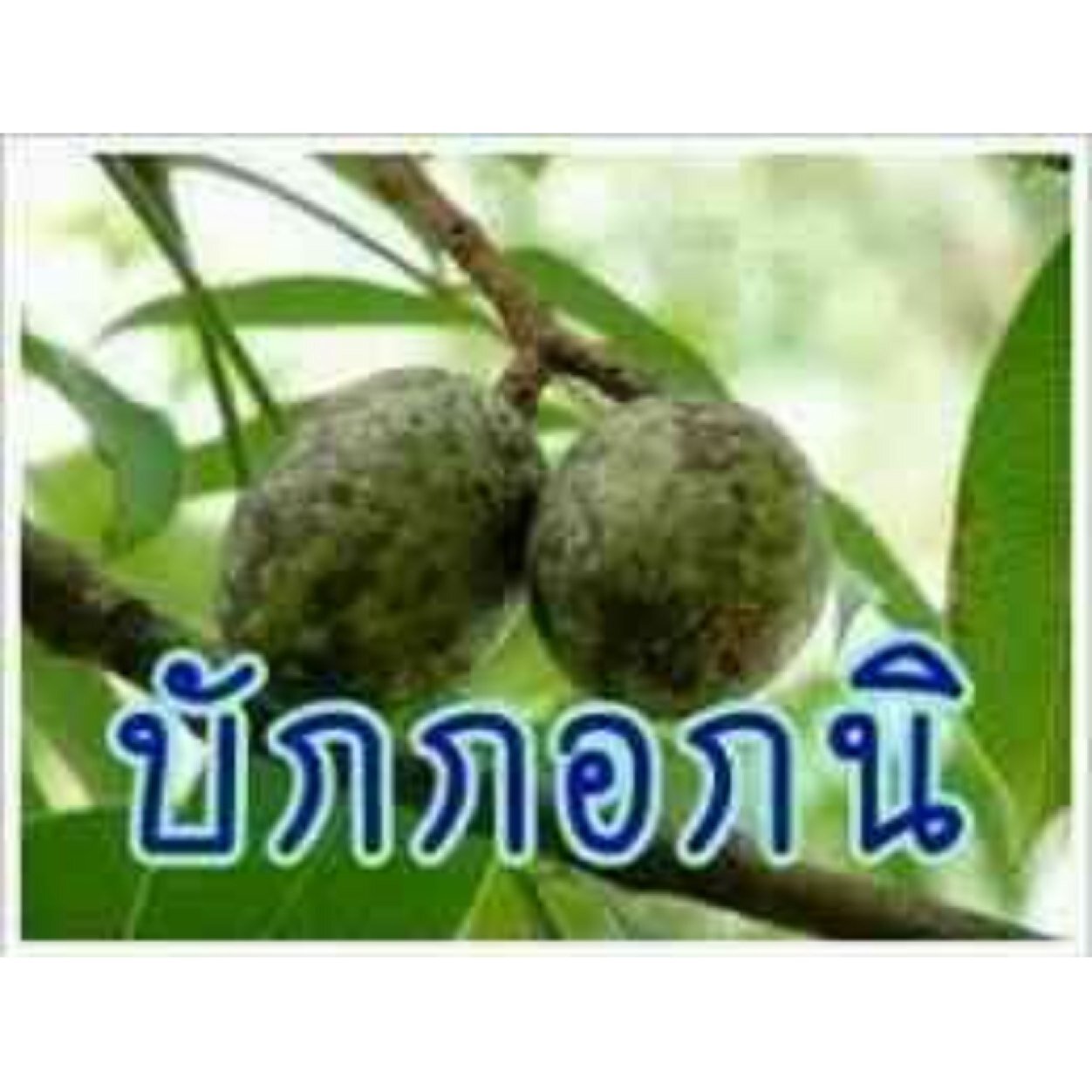 มีหน้าที่ รีทวิต  ไม่ฟอลกลับไม่ว่ากัน แต่ถ้าฟอลเจริญ!