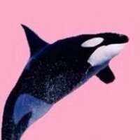 no. (@insuiting) 's Twitter Profile Photo no. (@insuiting) 's Twitter Profile Photo