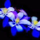 judysky416's profile picture. 