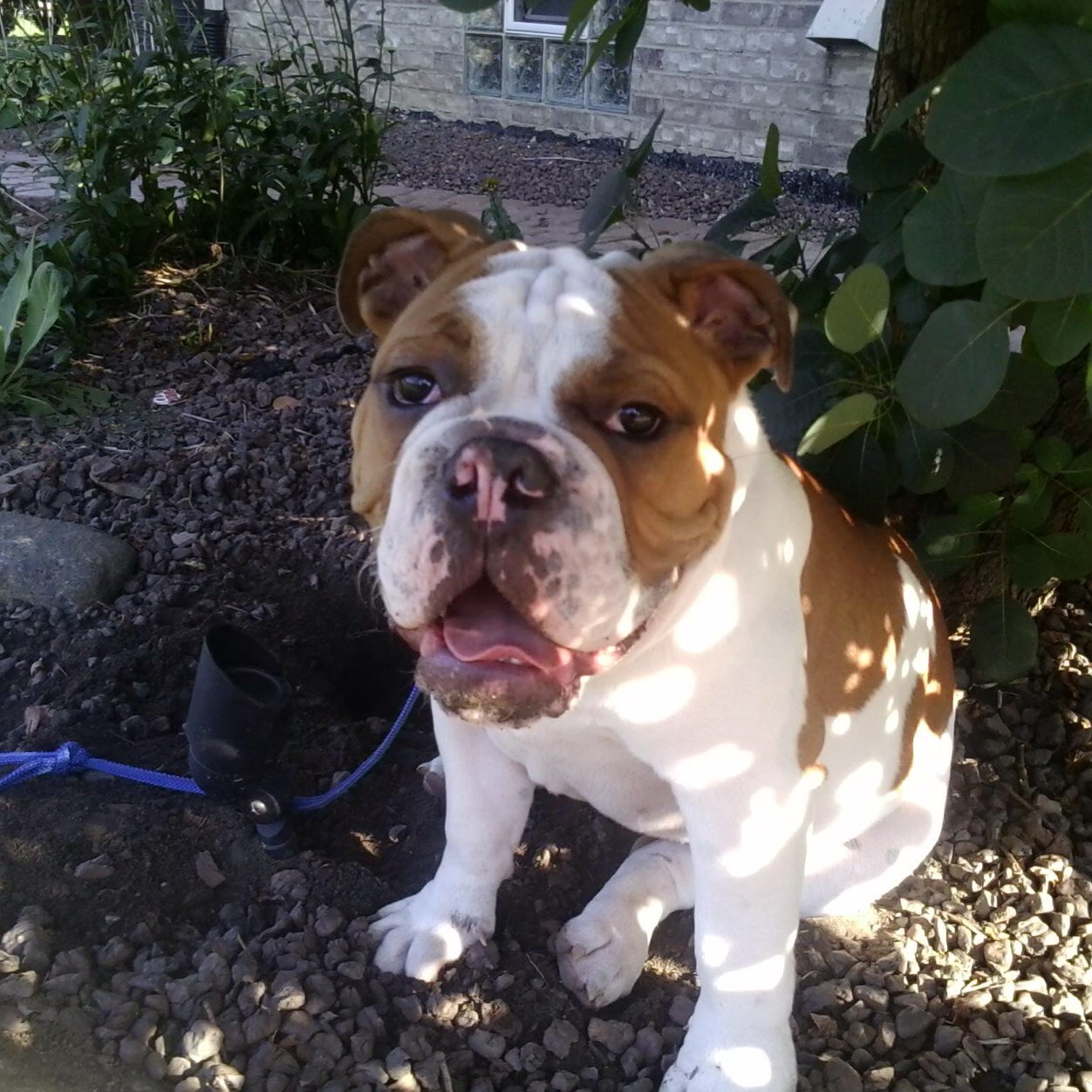 Kevin__Lockhart's profile picture. 