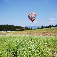 みつき@GLAY (@tratmsdecholma) Twitter profile photo