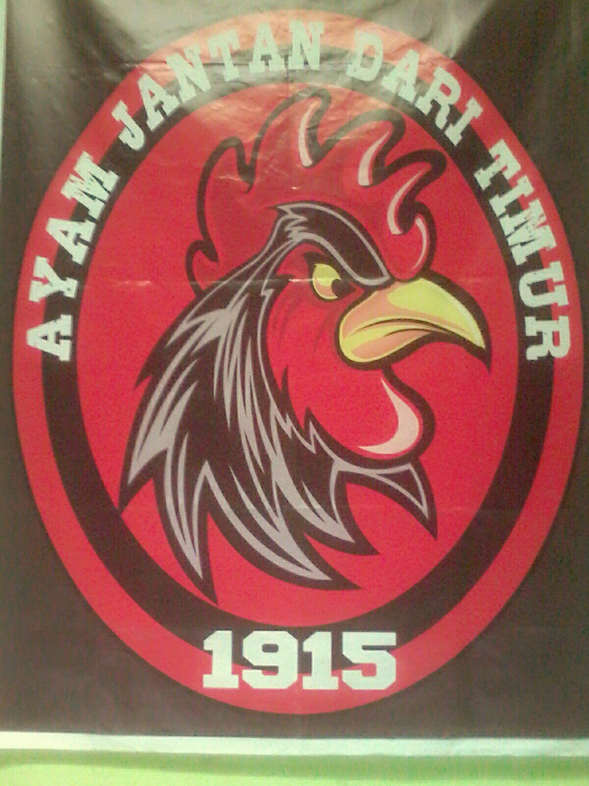 keep rock n roll underground. i am fanatisme the rooster from east @THEMACZMAN_PKP/La VecchiaSignora