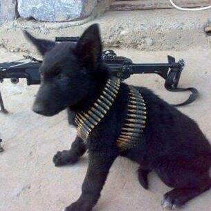 SGT_RAY4E6A's profile picture. U.S. Army Recruiter