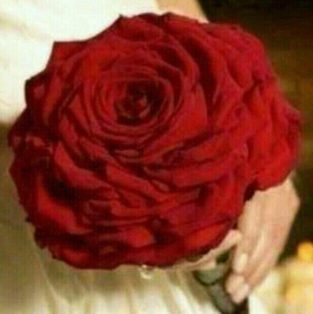 ‏سبحان الله وبحمده سبحان الله العظيم
