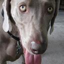 Sarah Cushman - @SarahCushman - Twitter