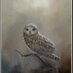 Dick Gilhespy (@citybirding1) Twitter profile photo