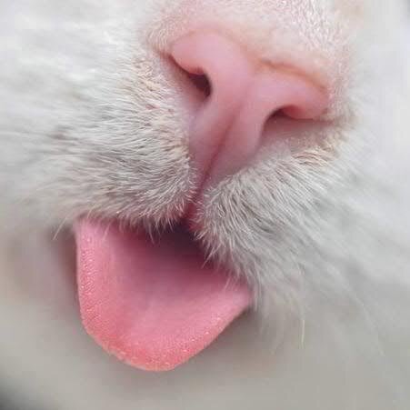 tom16caths's profile picture. 