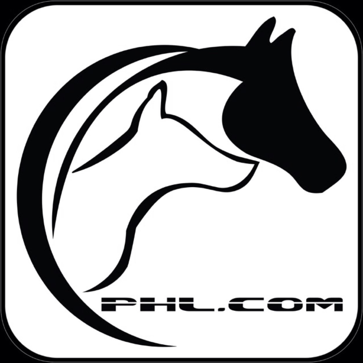 pferdetrendShop's profile picture. 