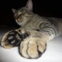 Tanja Lee - @tanjaeisen - Twitter