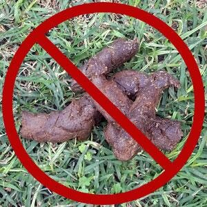 Save the lawns from gross dog poop. Dedicated to keeping neighborhood lawns beautiful and poop free!