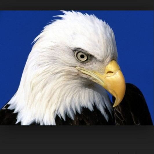 Lipo2020's profile picture. 