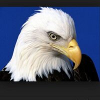 Lipo (@lipo2020) 's Twitter Profile