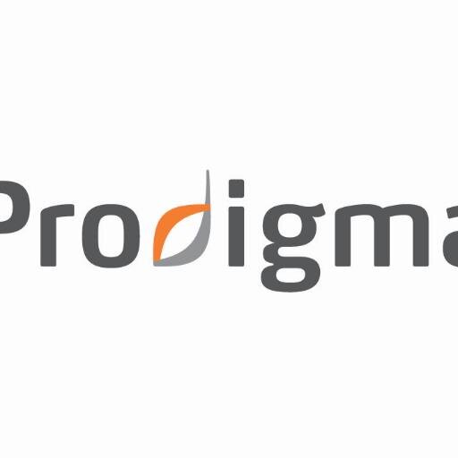 Prodigma, your solution partner in Project Management, Agile - Scrum and Interim Management.
