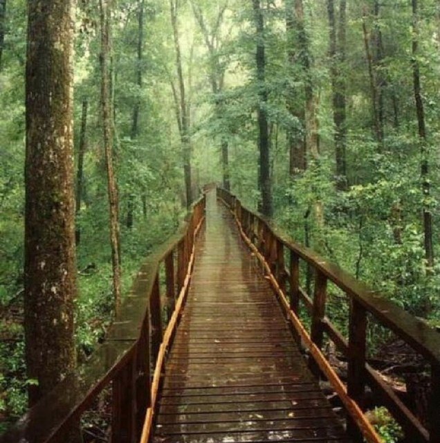 theloveproject0's profile picture. The day will happen whether or not you get up. - John Ciardi