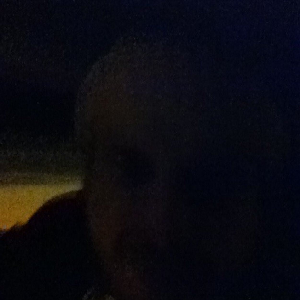 alimohm28074028 Profile Picture