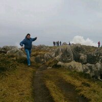 Pablo. (@pablokancienes) 's Twitter Profile