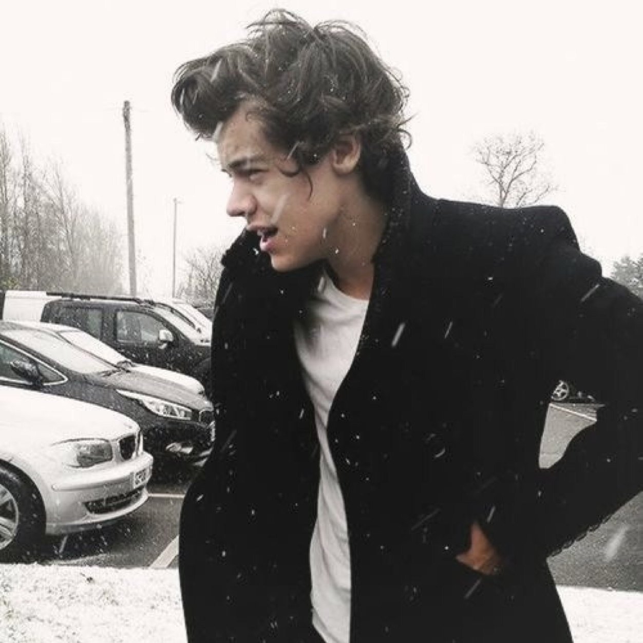 rebelstylxs's profile picture. please please follow @zxrryvinyl ill follow back there ilysm x