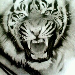 HoneyBoney008's profile picture. *hust* mir fällt nichts ein :)