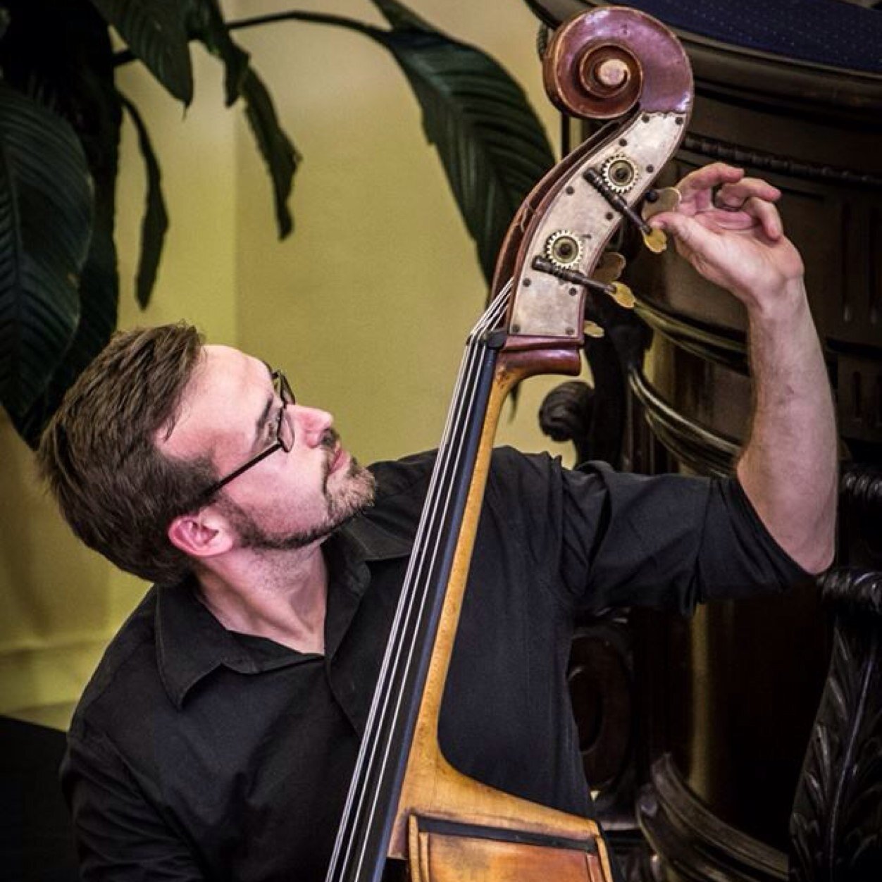 SteveTaylorUH's profile picture. Cr Steve Taylor - Upper Hutt City Councillor. Director of Rasha Taylor Couture. Former Section Player Double Bass at New Zealand Symphony Orchestra.