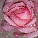 gisel bustos - @giselbusto - Twitter