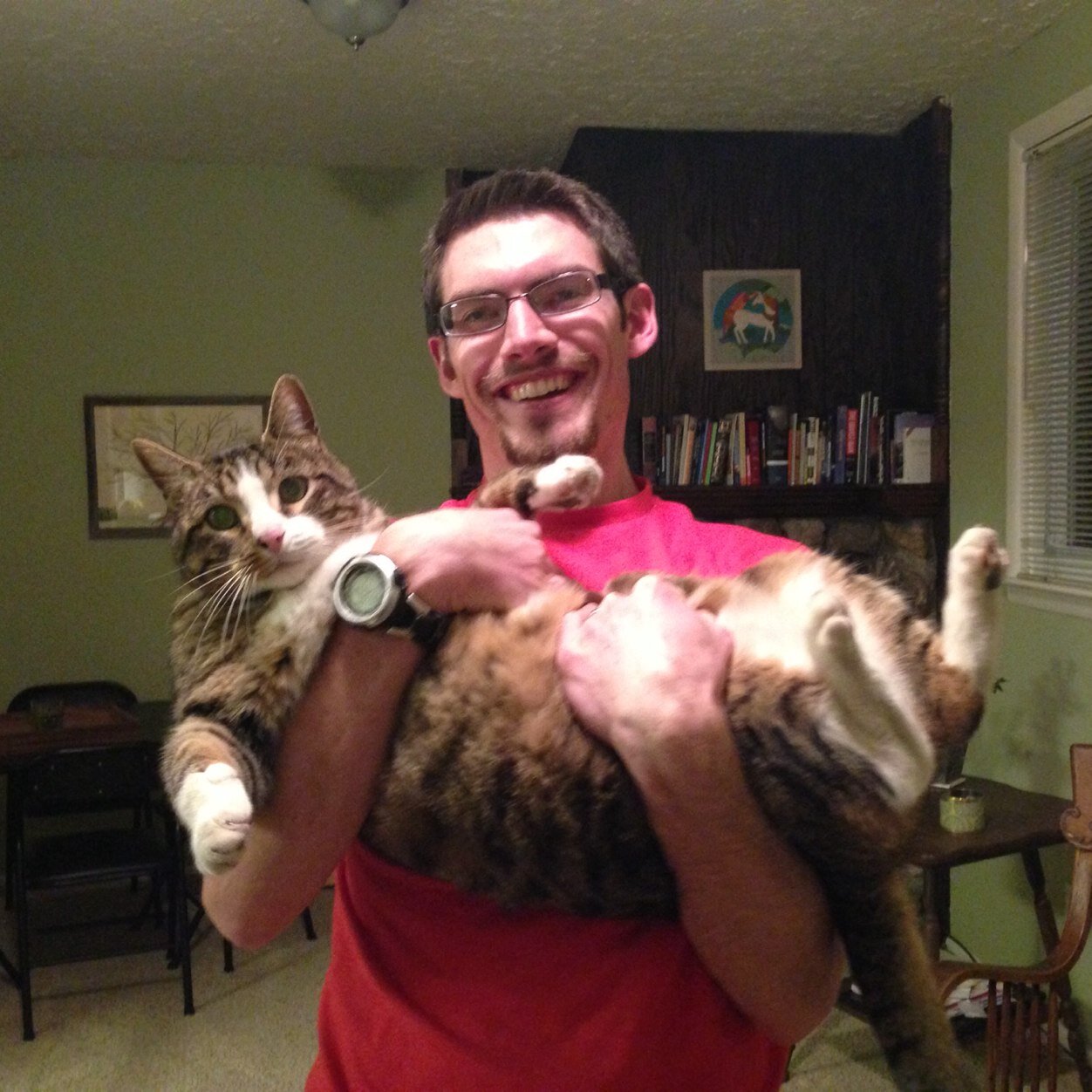 JoshQKing's profile picture. 