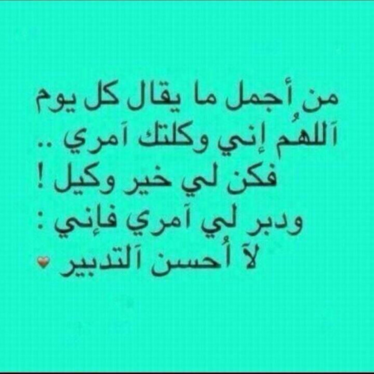 نقل من البدائع الى مليدا ٠٥٤٦٣٧٣٣٢٠