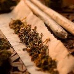 This Goes Out To All My Stoners #EIU