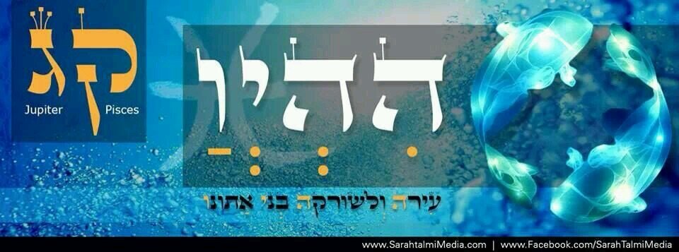 NiceMaix's profile picture. 