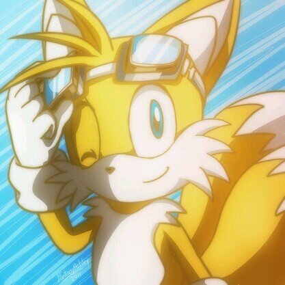 Hello, I'm Miles Tails Prower! I'm an experienced mechanic and long time friend of Sonic the Hedgehog!