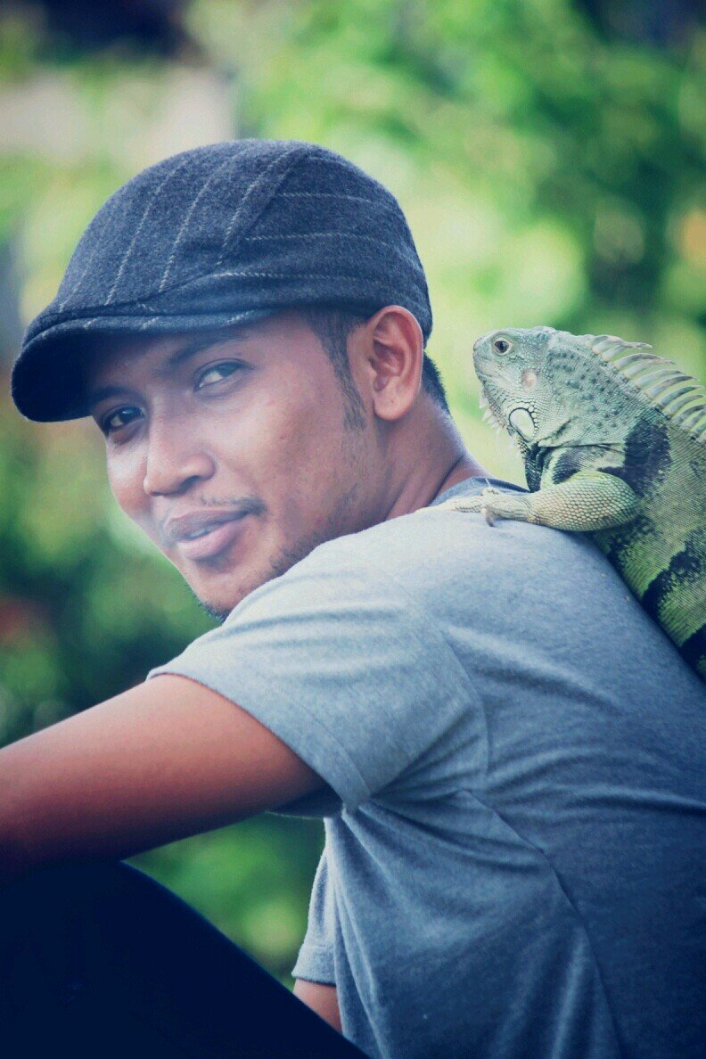 bulubhebhek's profile picture. 