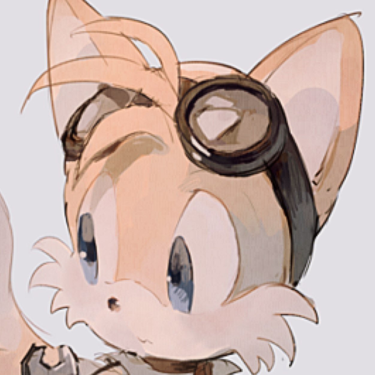 Tails is a very intelligent fox who strives to do his best. His best friend is Sonic, and is almost always seen with him wherever he goes.