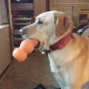 Bob Caffrey - @CaffreyBob - Twitter