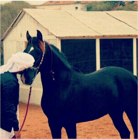 سٌبحَاان ، من نحن بدوُنہ ،  لسنِا بشِيء و بُہ كِل شيء♥♥