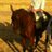 SergioReina90's profile image