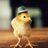 PChiner's profile image