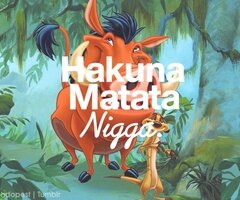 NiggastoCordoba's profile picture. Cordoba, fiesta,tapeo,amigos,cafeleo....