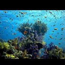 brianna john - @NehalAmir - Twitter