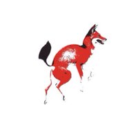 Red Fox Coffee Mchts (@redfoxcoffee) 's Twitter Profile