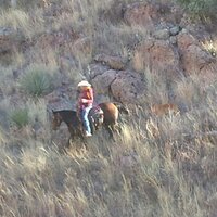 Daniel Bell (@voslash) 's Twitter Profile
