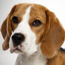 Bud Griffin - @mynameisbudg - Twitter