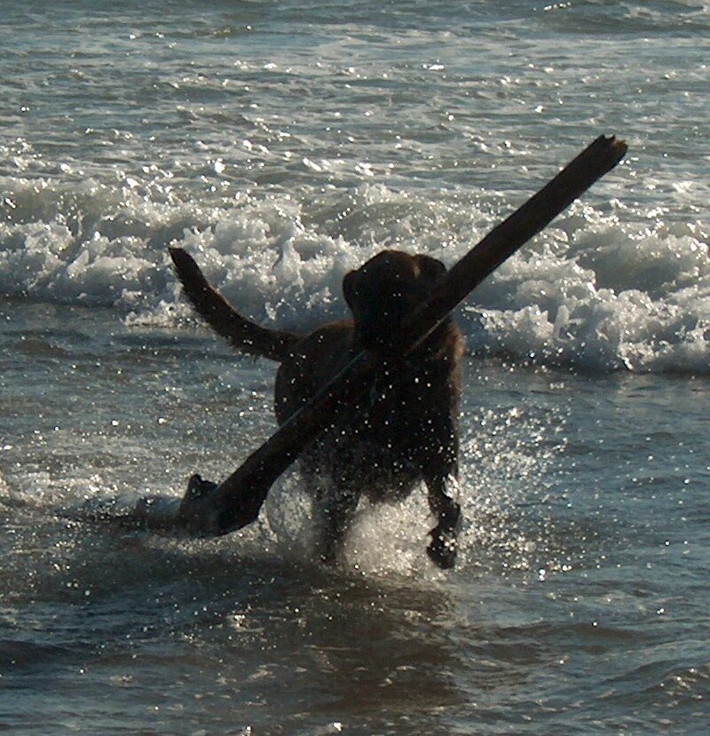 Family owned and operated motel and vacation home. Full kitchens, separate bedroom. Sea Haven Motel is the #1 accommodation on TripAdvisor in Rockaway Beach, OR
