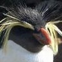 Corvid COVID 🌻💙 (@eridowd) 's Twitter Profile