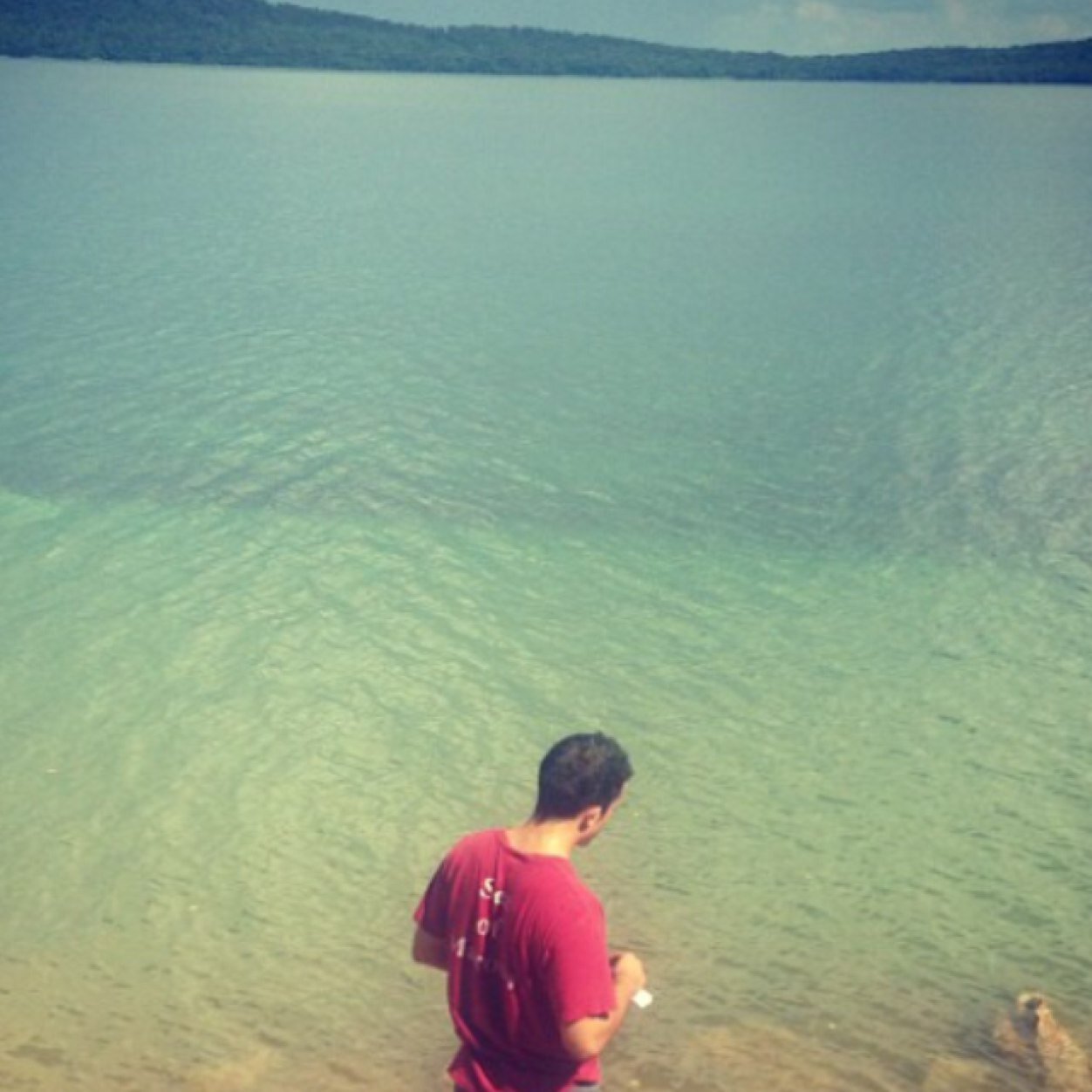 doug_tortorici's profile picture. too sense