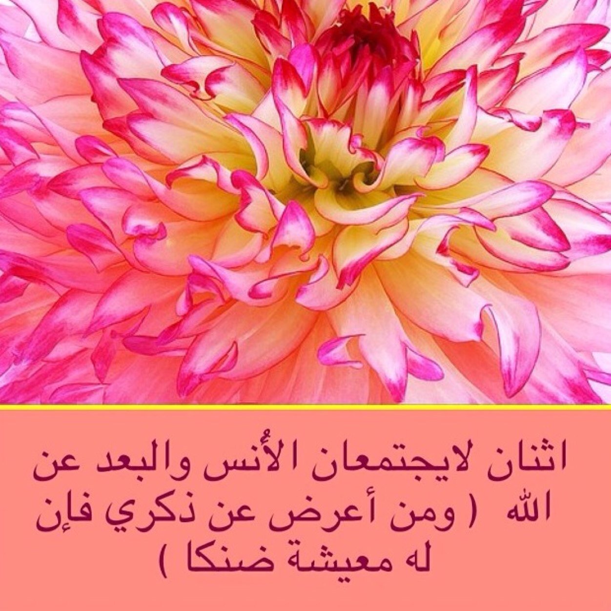 Cofee__M's profile picture. اللهم أنت ربي لا اله الا أنت خلقتني وأنا عبدك وأنا على عهدك ووعدك ما استطعت أعوذ بك من شر ماصنعت أبوء لك بنعمتك علي وأبوء بذنبي فاغفر لي فانه لايغفر الذنوب  الا