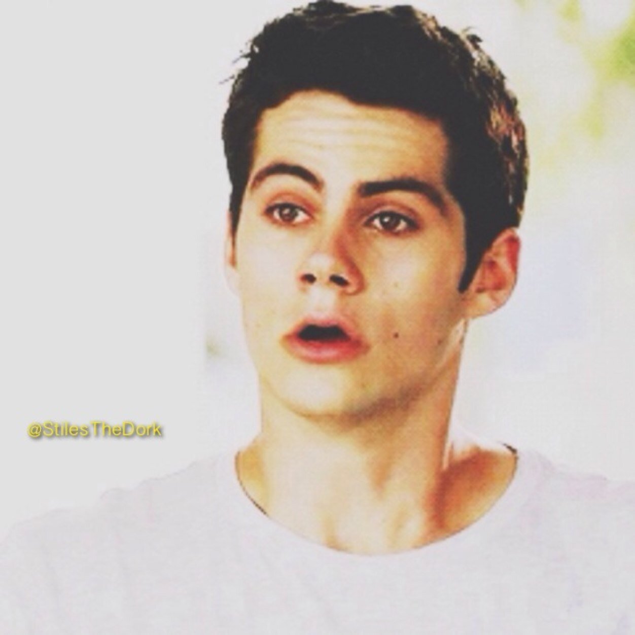 StilesTheDork's profile picture. 